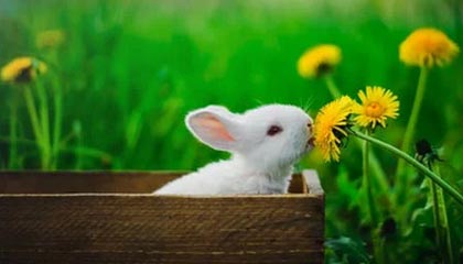 吕梁伴游，定制QQ：3494206190微信：act1322